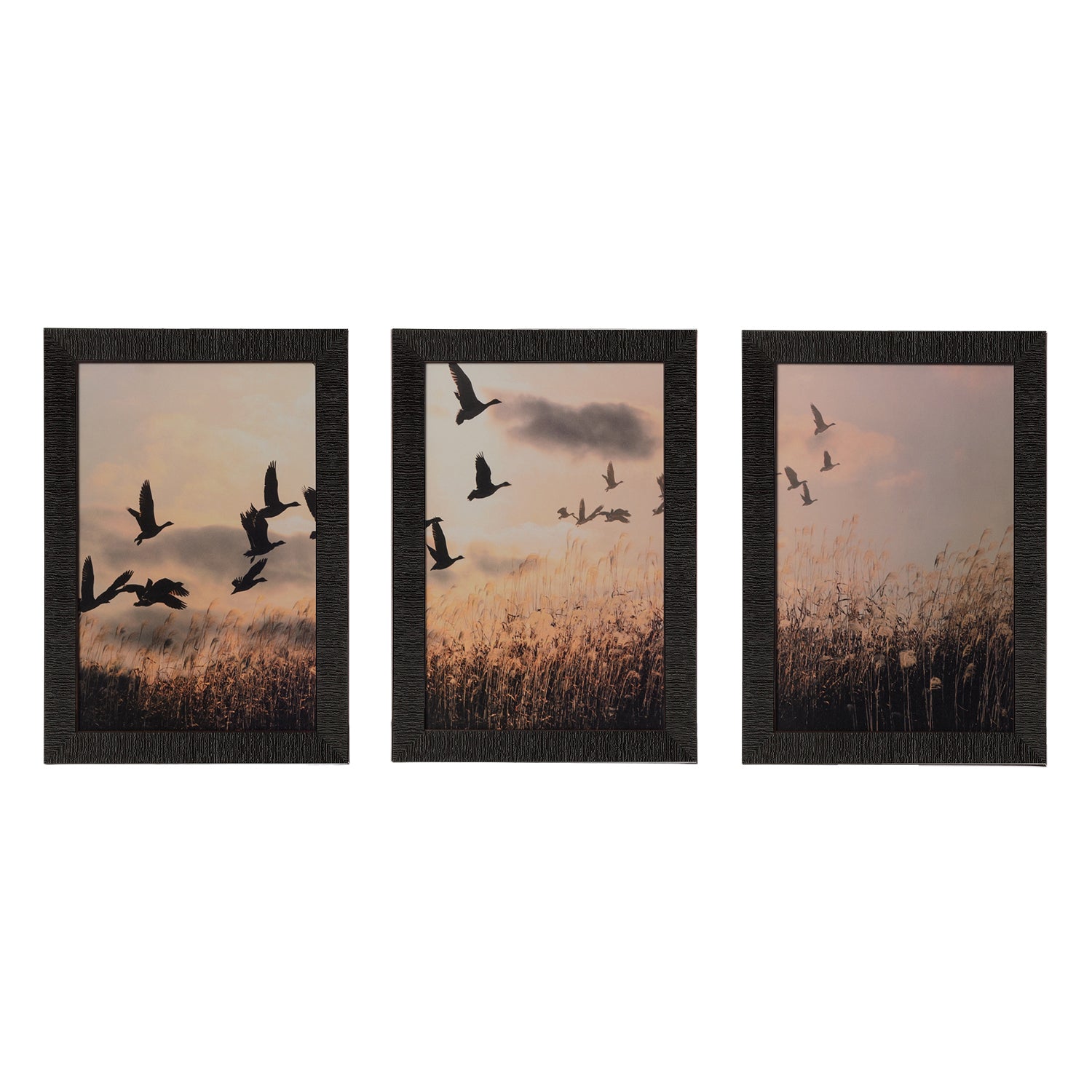 Set of 3 Flying Birds Satin Matt Texture UV Art Painting