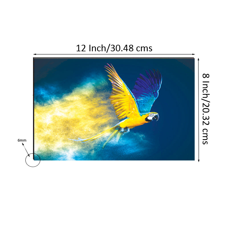 6MM MDF Flying Colorful Parrot Satin Matt Texture UV Art Painting 2