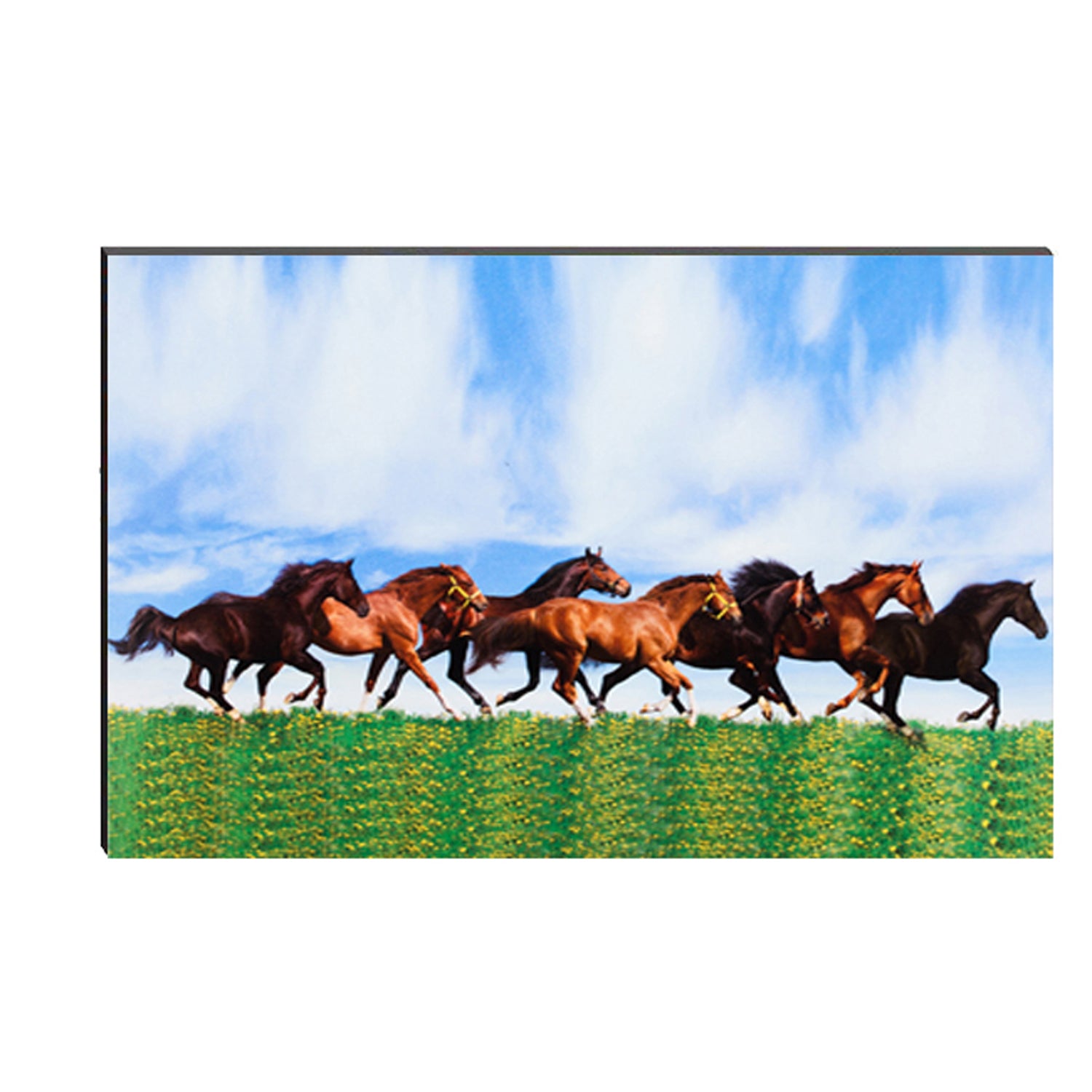 6MM MDF 7 Lucky Running Horses Satin Matt Texture UV Art Painting