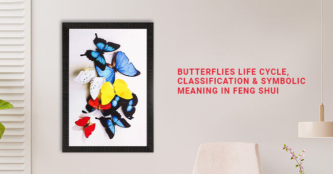Butterfly Color Meaning In Feng Shui