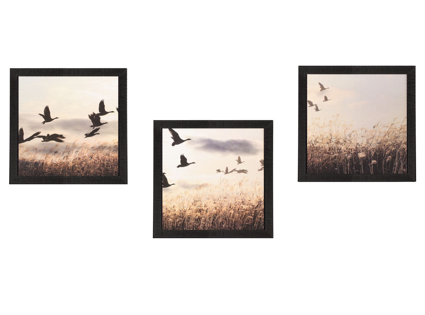 Set Of 3 Flying Birds Scenery Satin Matt Texture UV Art Painting