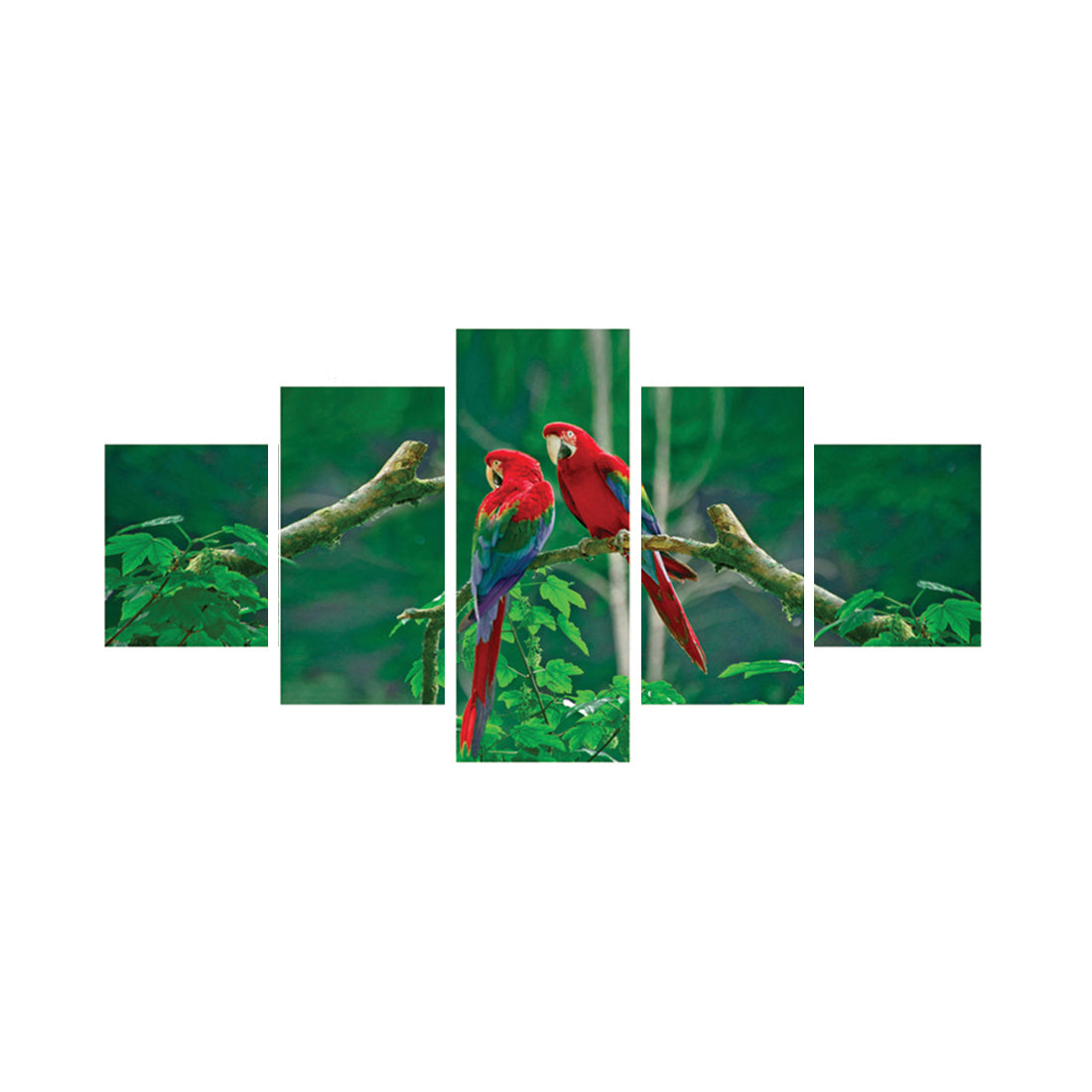 Set of 5 Parrots Pair Premium Canvas Painting