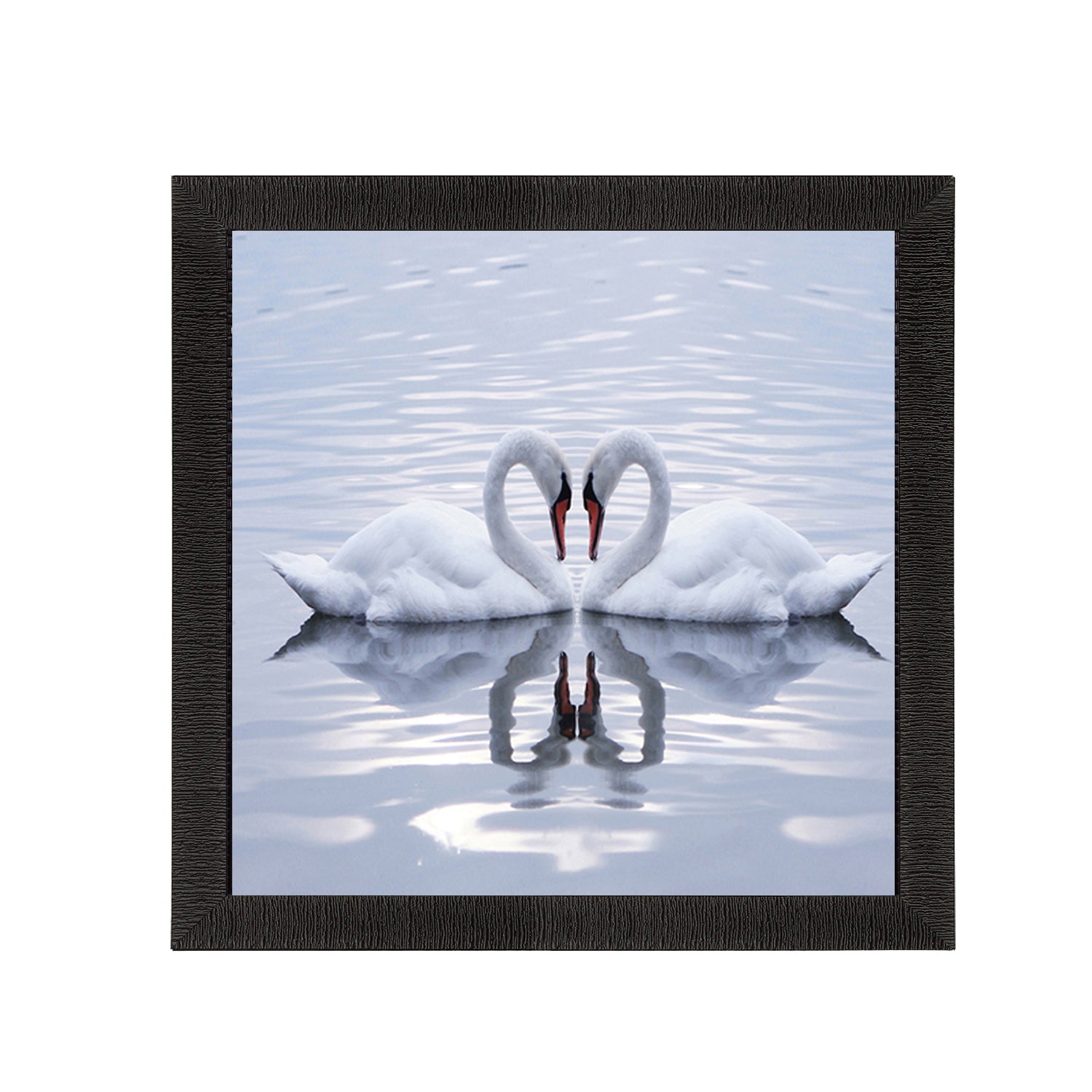 Beautiful Swan Matt Textured UV Art Painting