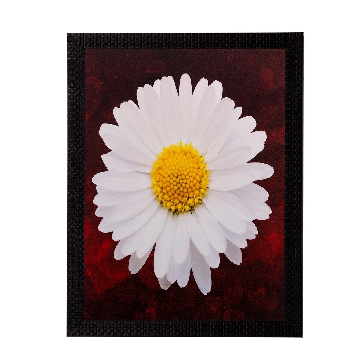 White Sunflower Matt Textured UV Art Painting