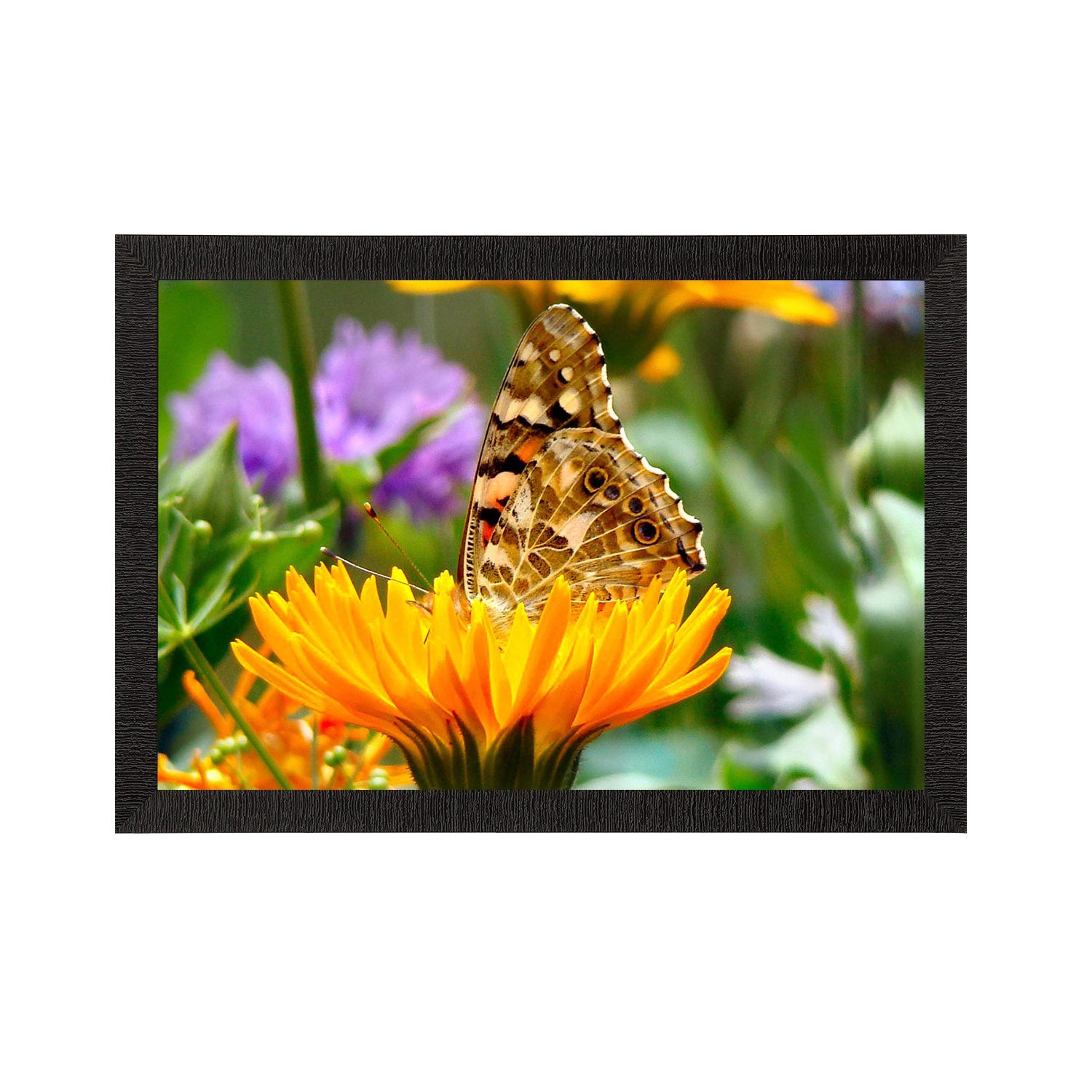 Butterfly On a Flower Satin Matt Texture UV Art Painting