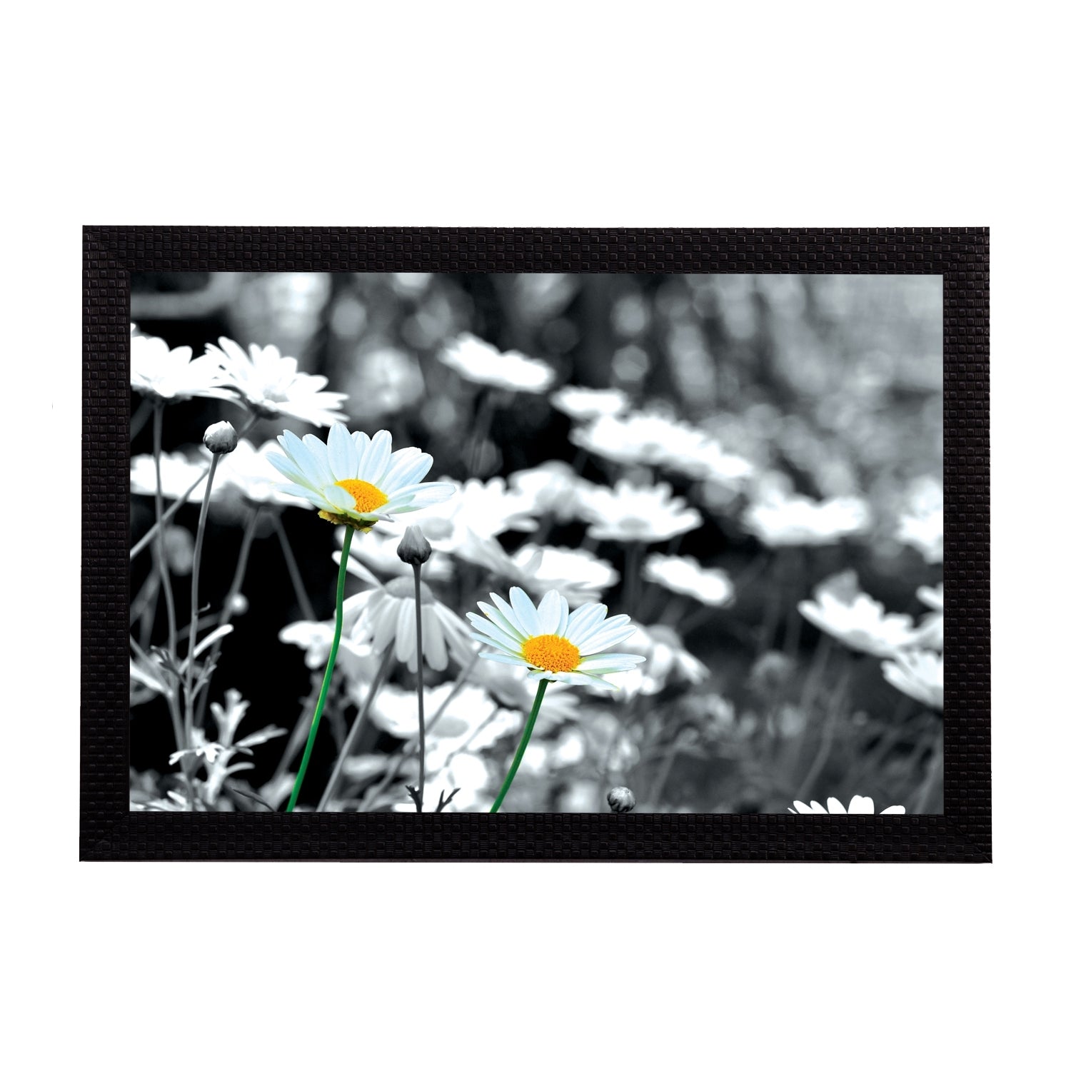 Black & White Floral Satin Matt Texture UV Art Painting