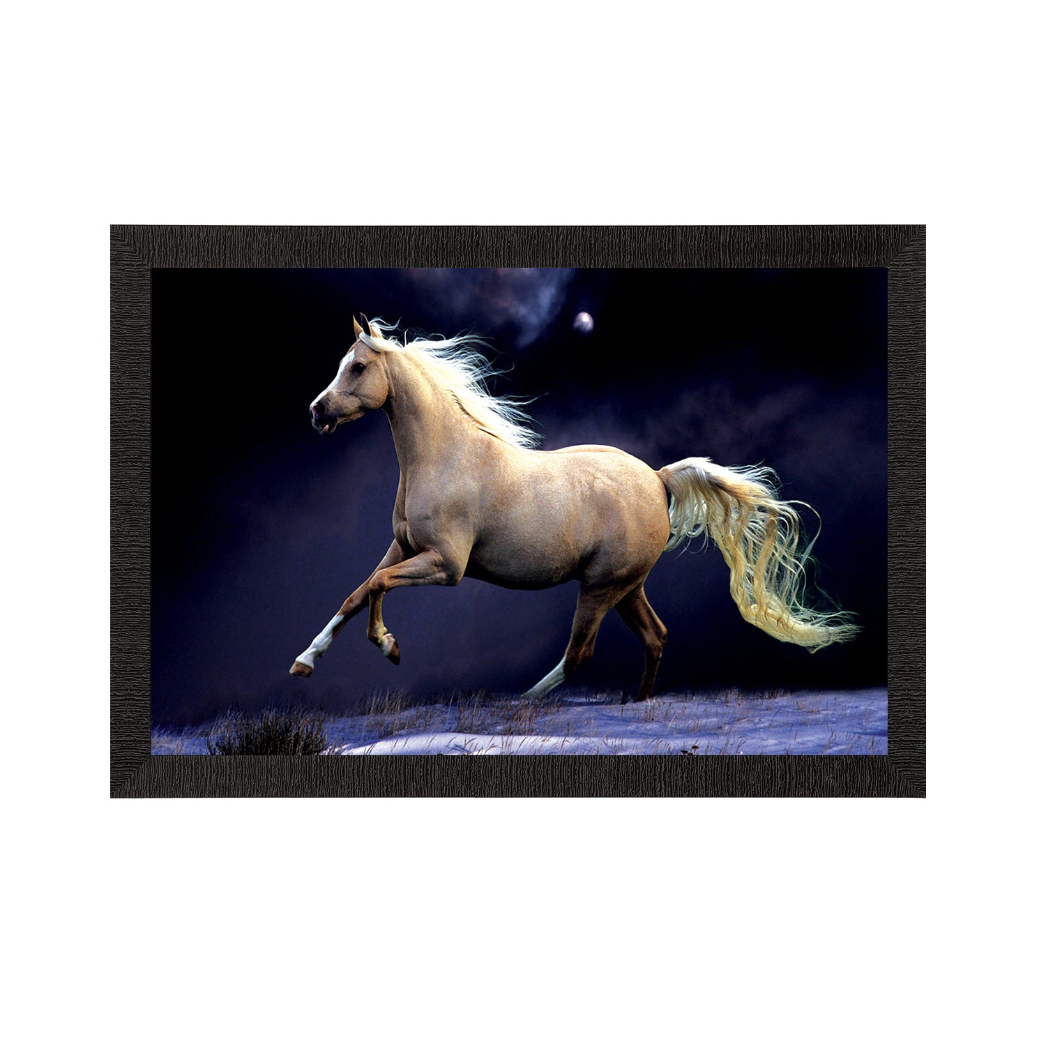 White Running Horse Satin Matt Texture UV Art Painting