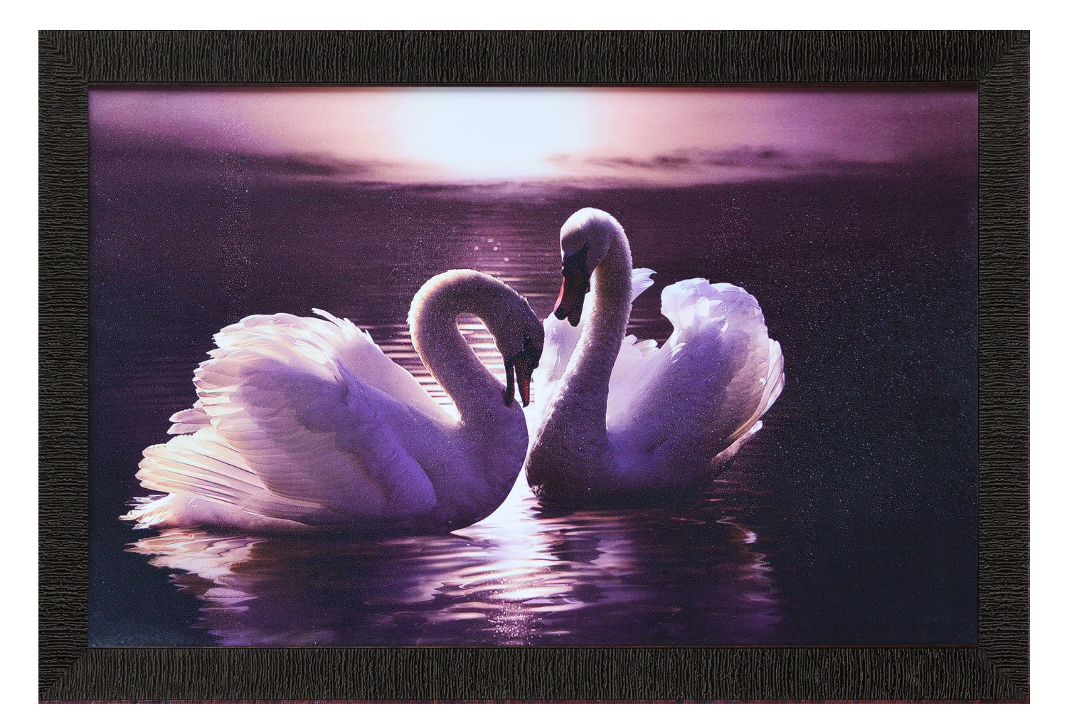 2 Swans Design Satin Matt Texture UV Art Painting