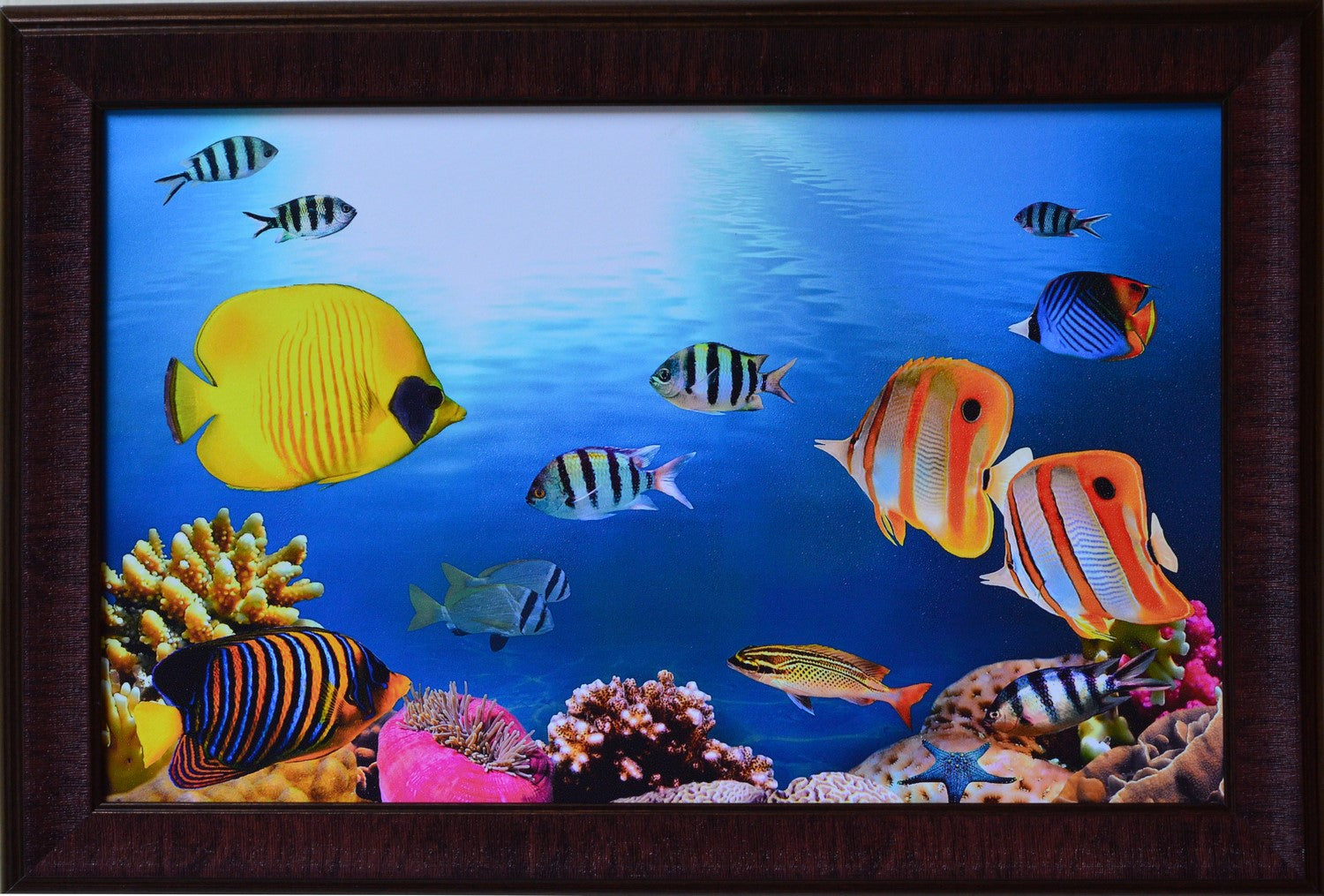 3D Sea Life view Design Satin Matt Texture UV Art Painting