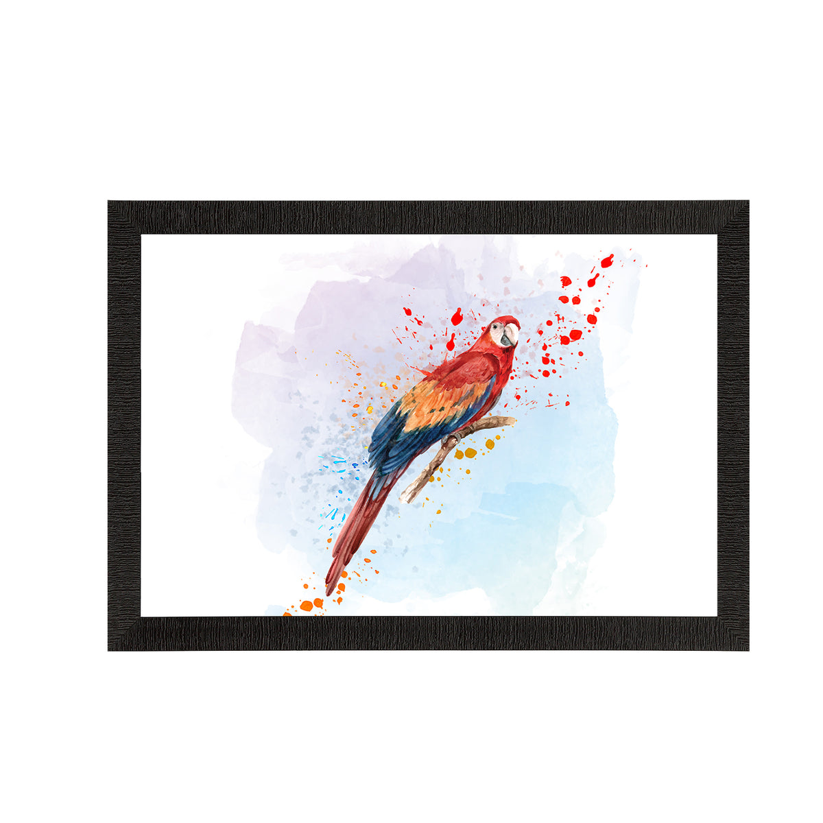 Colorful Parrot Satin Matt Texture UV Art Painting - eCraftIndia Online