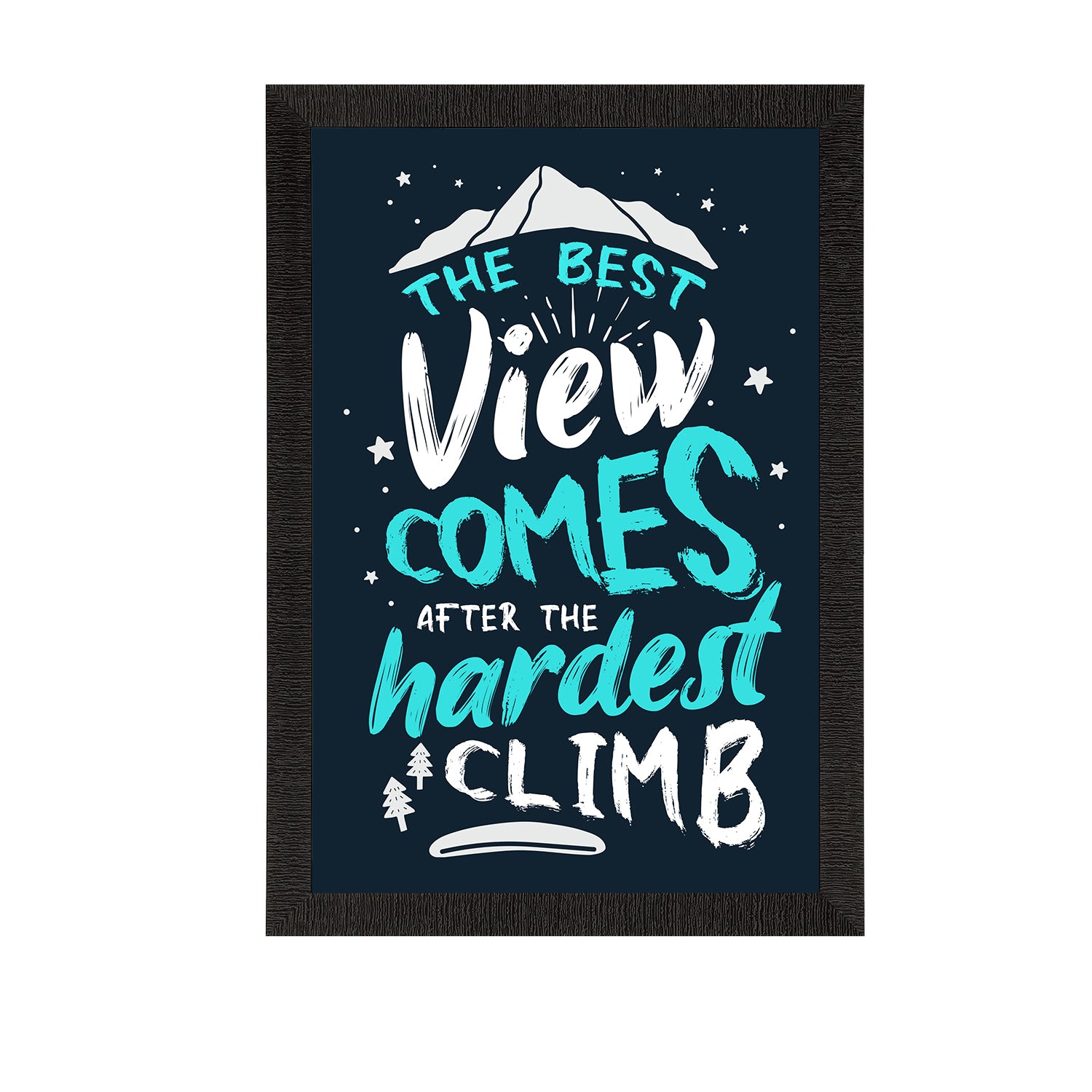 "The Best View Comes After The Hardest Climb" Motivational Quote Satin Matt Texture UV Art Painting