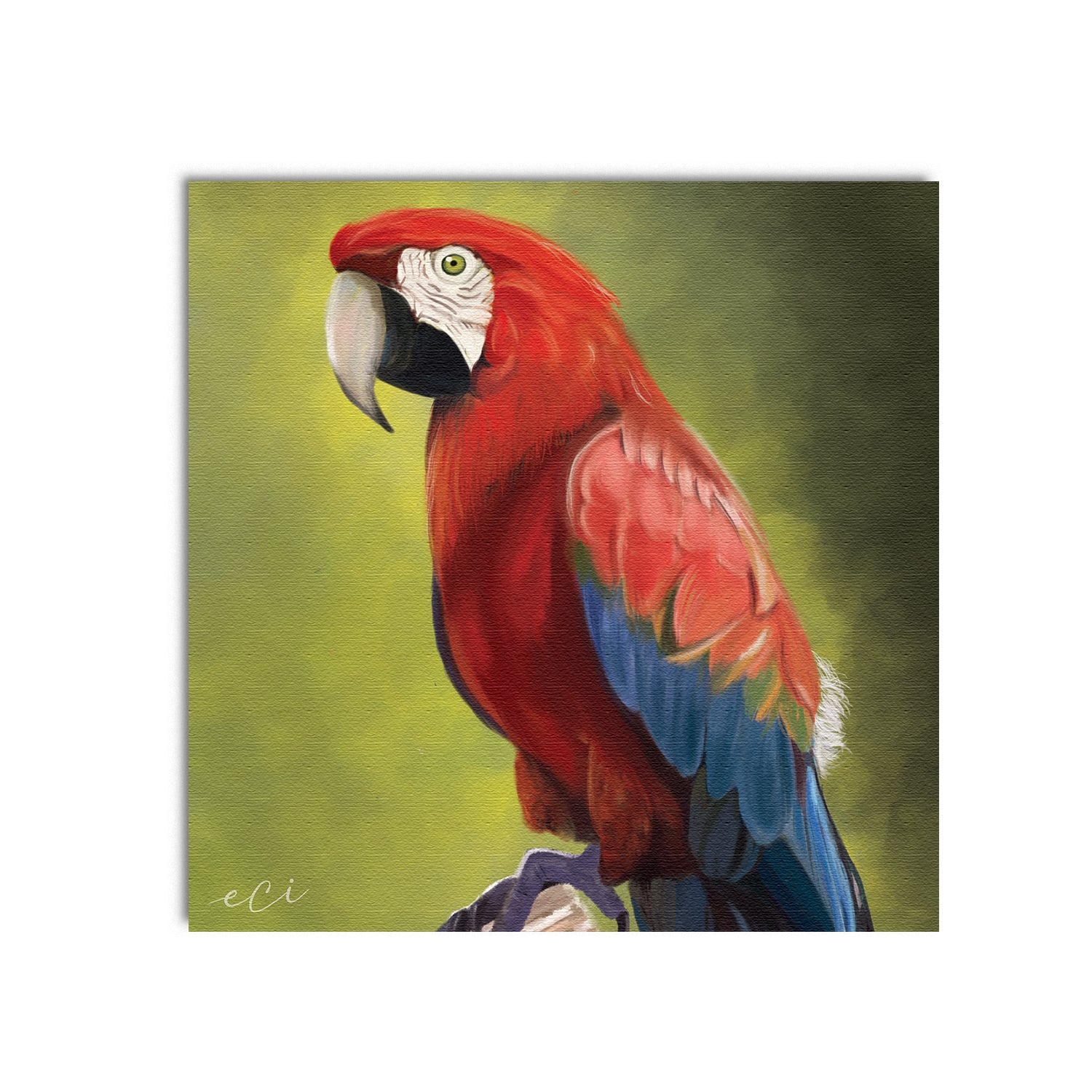 Colorful Parrot on Tree Original Design Canvas Printed Wall Painting