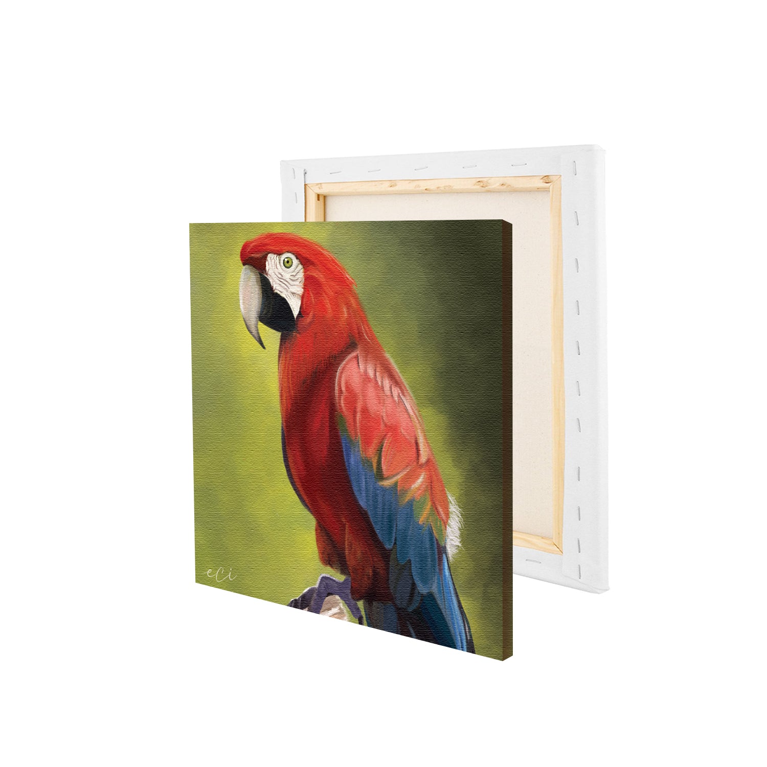 Colorful Parrot on Tree Original Design Canvas Printed Wall Painting 4
