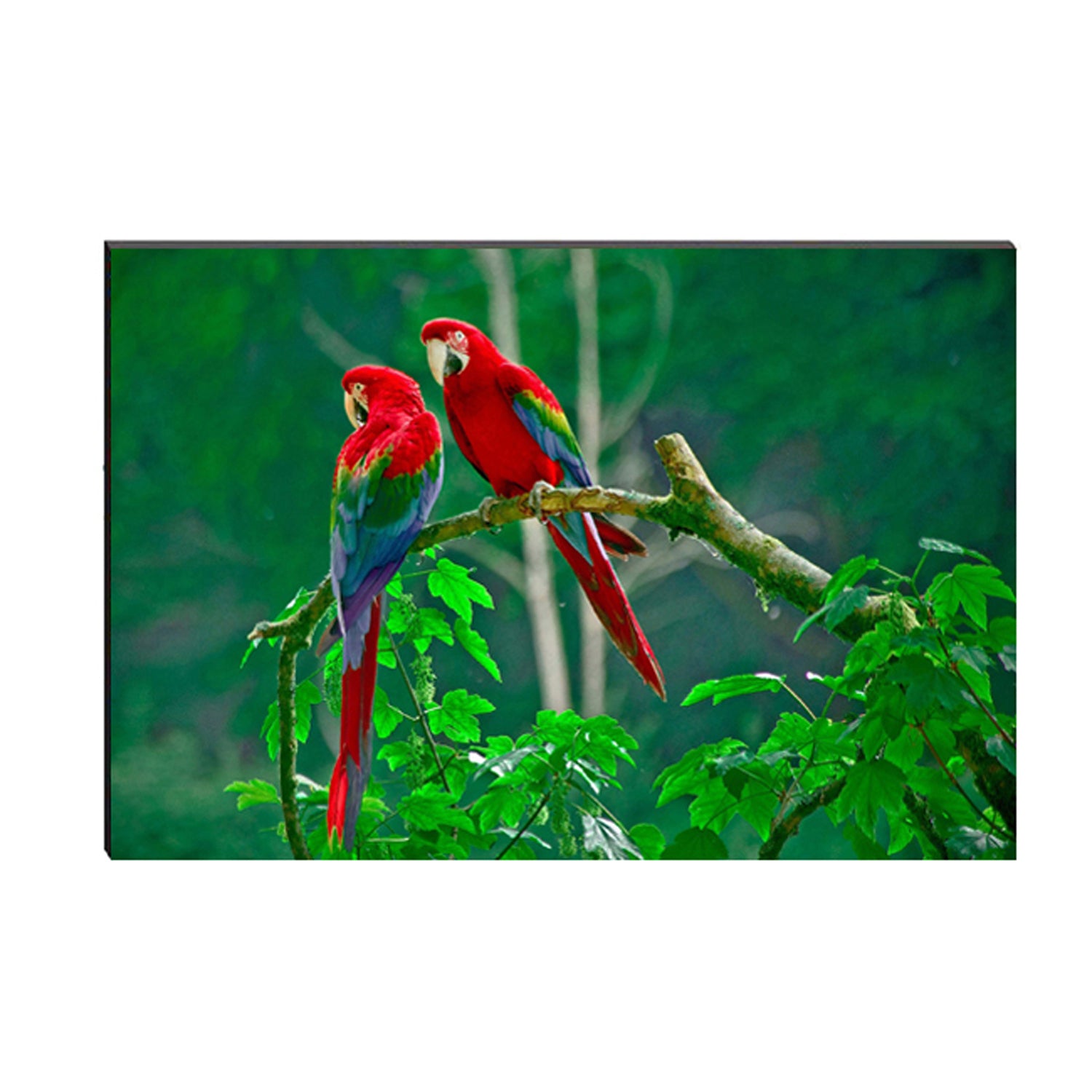 6MM MDF Colorful Parrot Satin Matt Texture UV Art Painting