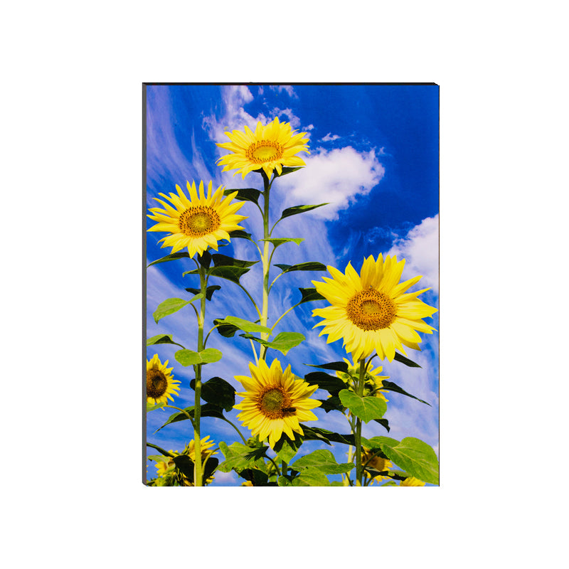 6MM MDF Sunflowers Satin Matt Texture UV Art Painting