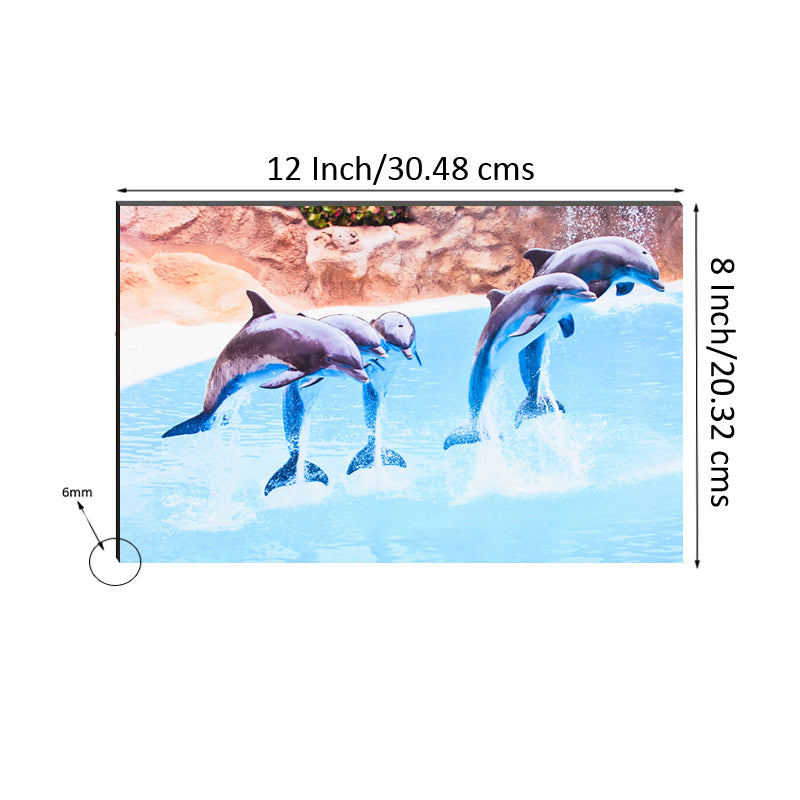 6MM MDF Jumping Dolphins Satin Matt Texture UV Art Painting 2