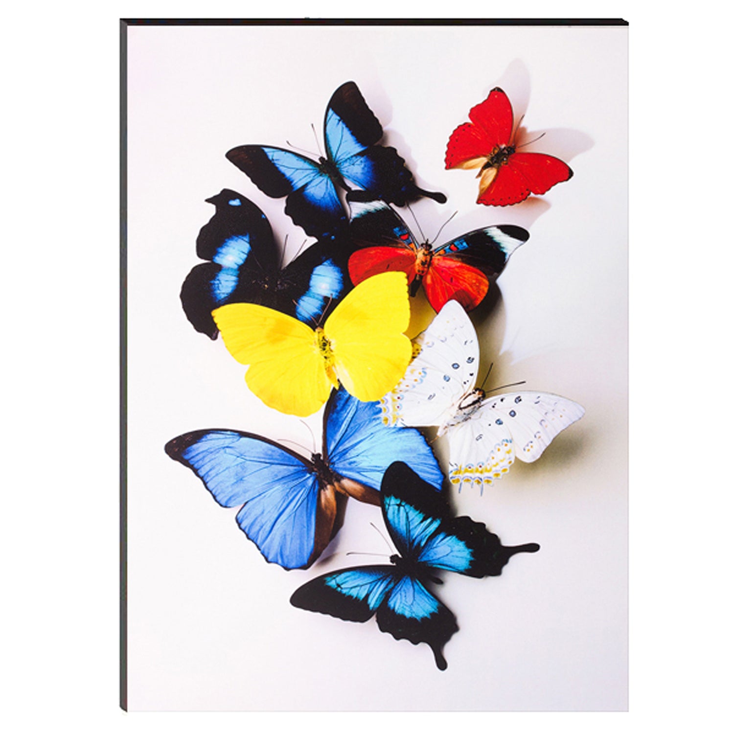 6MM MDF Colorful Butterflies Satin Matt Texture UV Art Painting