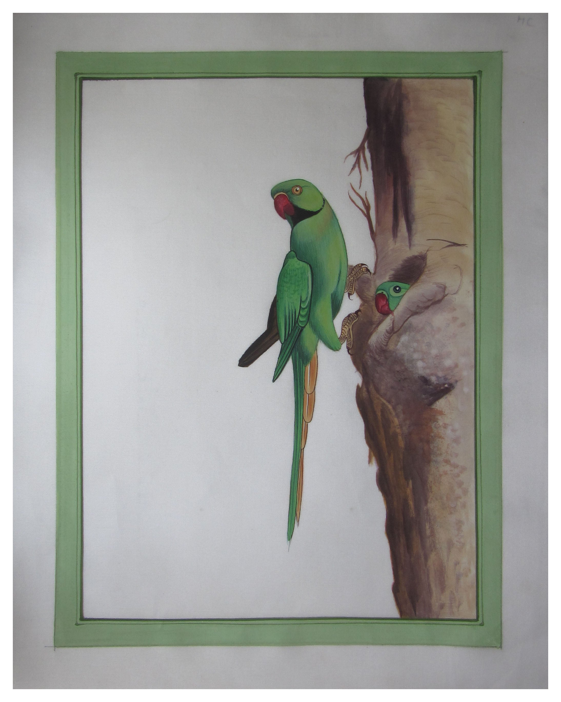 Miniature Green Parrots Original Art Silk Painting