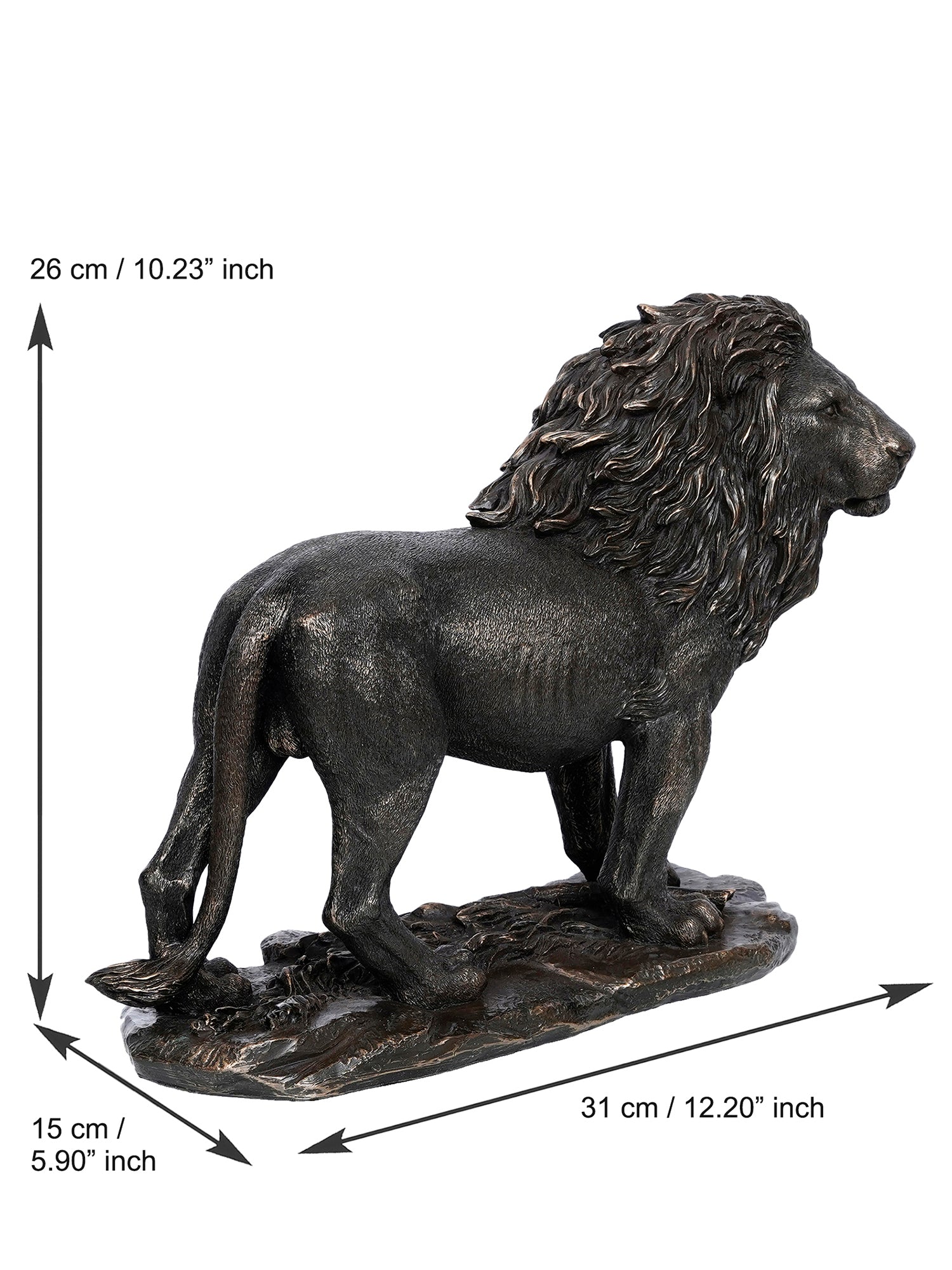 Polyresin and Bronze Black Carved Brave Lion Showpiece Decorative Animal Figurine 3